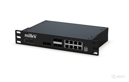 全球首款开源万兆RISC-V网络交换机Milk-V Vega亮相